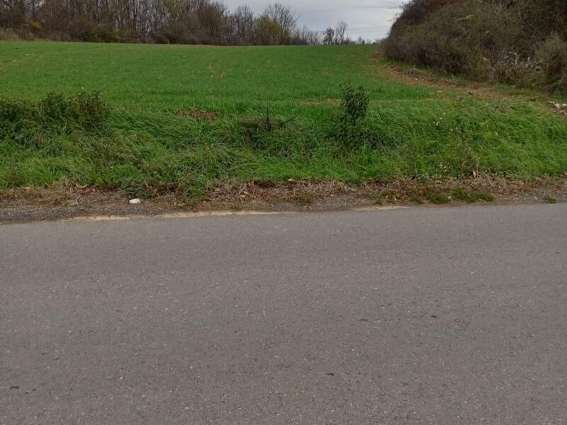 HITNA PRODAJA STARA LIPOVICA