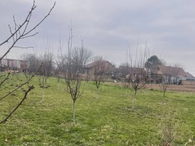 Na prodaju plac u Boljevcima – 7 ari