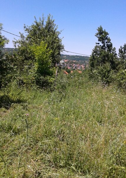 Gradjevinsko zemljište u Sopotu