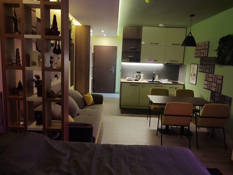 APARTMAN SA NAJLEPŠIM POGLEDOM – KOPAONIK