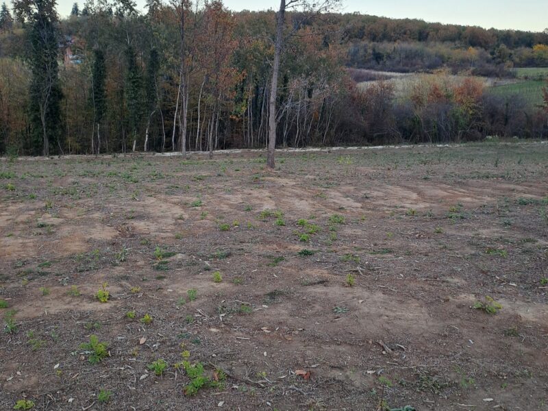 Jedinstveni plac