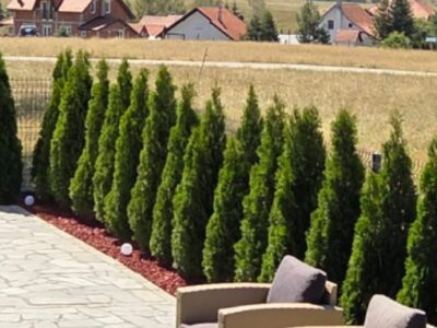 Zlatibor - Lux Kuca vertikala na prodaju 77m2 i 3 ari placa