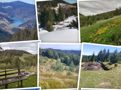 Tara planina plac sa izvorom i apartman u Mokroj Gori