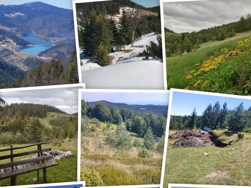 Tara planina plac sa izvorom i apartman u Mokroj Gori