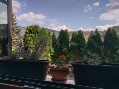 Mokra Gora apartman u centru i plac na Tari sa izvorom vlasnik