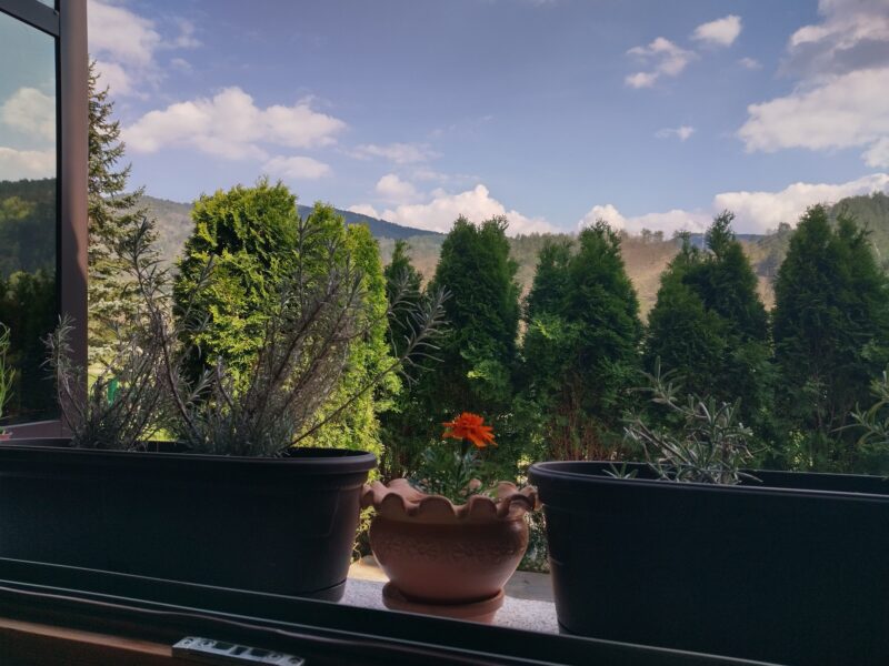 Mokra Gora apartman u centru i plac na Tari sa izvorom vlasnik