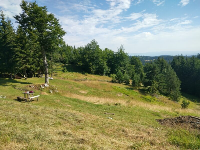 Tara planina plac sa izvorom i apartman u Mokroj Gori