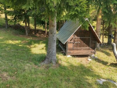Tara planina plac sa izvorom i apartman u Mokroj Gori