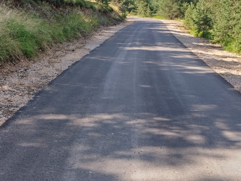 Tara planina plac sa izvorom i apartman u Mokroj Gori
