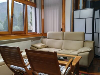 Mokra Gora apartman u centru i plac na Tari sa izvorom vlasnik
