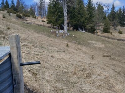 Tara planina plac sa izvorom i apartman u Mokroj Gori