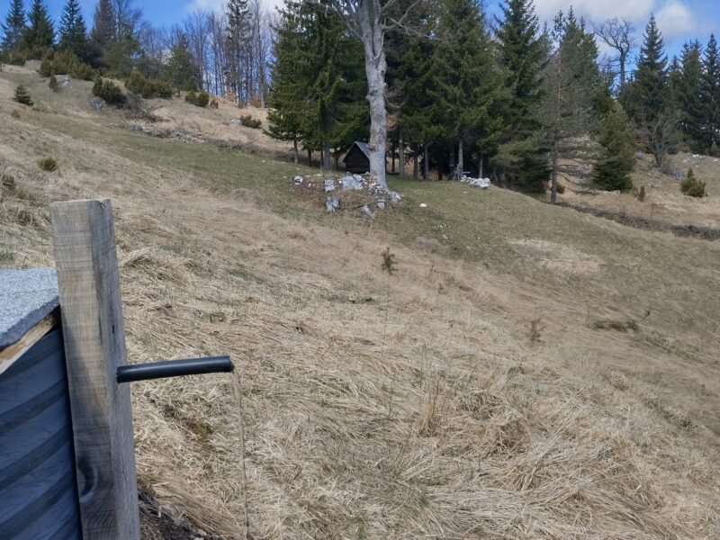 Tara planina plac sa izvorom i apartman u Mokroj Gori