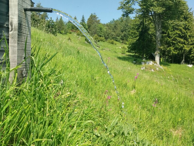 Tara planina plac sa izvorom i apartman u Mokroj Gori