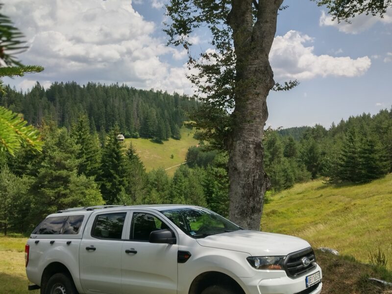 Tara planina plac sa izvorom i apartman u Mokroj Gori
