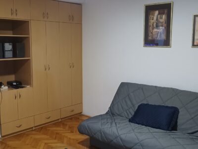 Centar Rakovice, Ul. Mile Dimić