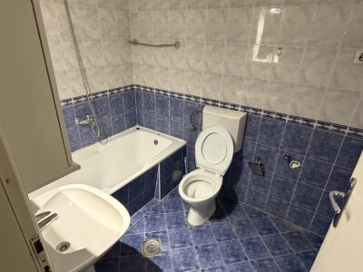 Izdaje se renoviran, prazan dvosoban stan u ulici Zdravka Čelara