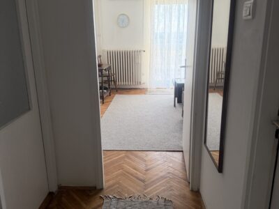 BULEVAR DESPOTA STEFANA KOD SUPA, 1,5 NAMESTEN NA DUŽE