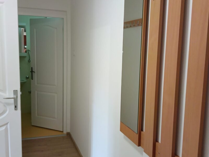 Visnjicka Banja, 43m², renoviran stan – 450€