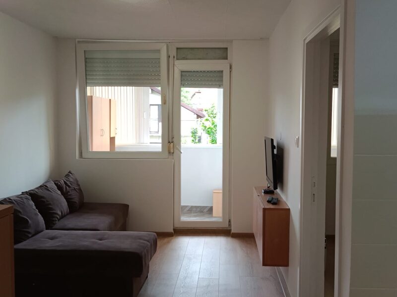 Visnjicka Banja, 43m², renoviran stan – 450€
