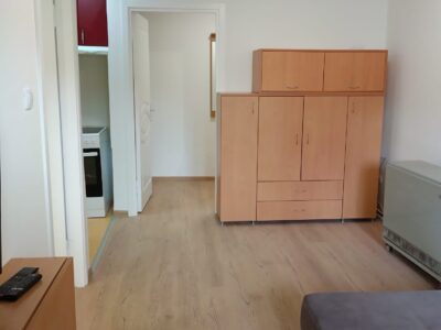 Visnjicka Banja, 43m², renoviran stan – 450€