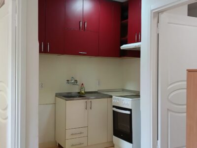 Visnjicka Banja, 43m², renoviran stan – 450€