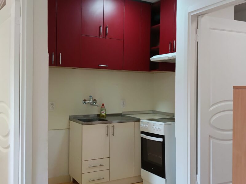 Visnjicka Banja, 43m², renoviran stan – 450€
